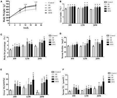 Iron overload accelerated lipid metabolism disorder and liver injury in rats with non-alcoholic fatty liver disease